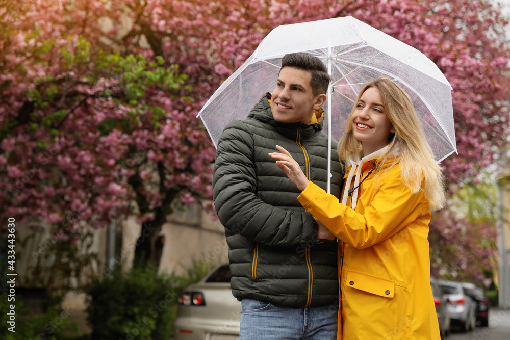 Fototapeta premium Lovely couple with umbrella walking on spring day