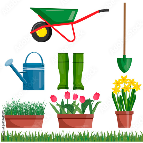 Set  of garden tools. Vector illustration of gardening elements.  Shovel and garden boots, watering can, wheelbarrow on the background. Flowers in pots, tulips, daffodils, green grass.