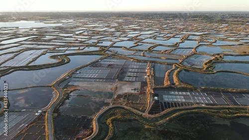 Wallpaper Mural salt marsh at sunset in Le Croisic Brittany France Torontodigital.ca
