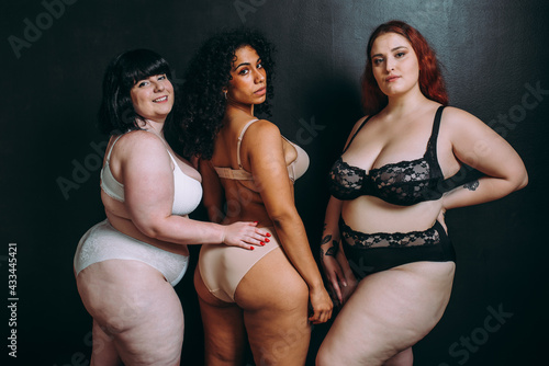 Canvastavla Body acceptance concept