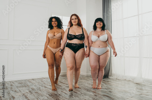 Body acceptance concept. Group of curvy girl posing in studio against society prejudice