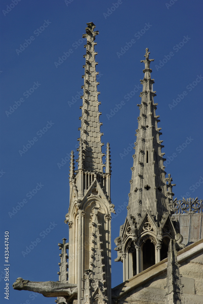Pignons de Notre-Dame à Paris, France Pignons de Notre-Dame à Paris, France