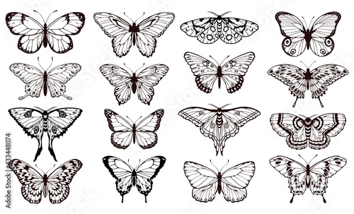 Butterfly silhouettes. Black outline butterflies tattoo graphic, tropical cute insects. Metamorphosis and spring symbols isolated vector set for wedding card design. Various forms of moths