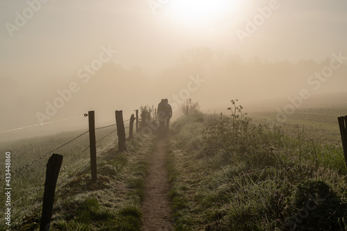 People walking during the morning forest