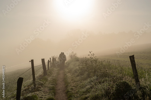 People walking during the morning forest