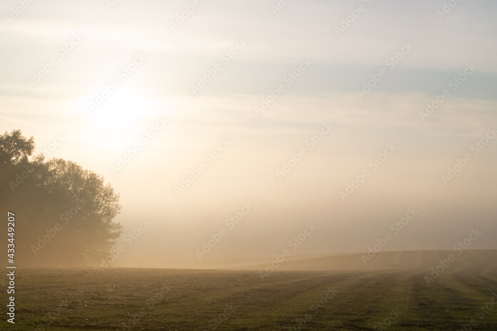 Fototapeta premium Dutch landscape photographed during the morning