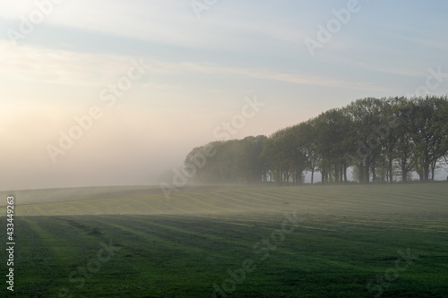 Dutch landscape photographed during the morning