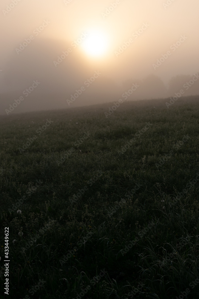 selective focus blurry background of grass landscape during the morning sunrise