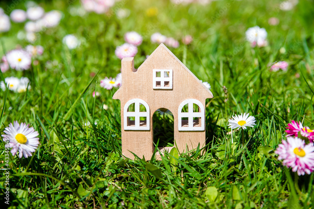 The symbol of the house stands among white daisies
