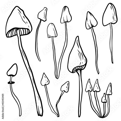 Doodle style mushroom set on isolated white background. Collection of forest edible and poisonous mushrooms. Vector illustration.