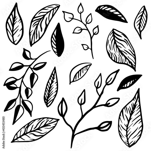 Leaves and twigs set in the style of doodle on an isolated white background. Collection of forest leaves and branches. Vector illustration.
