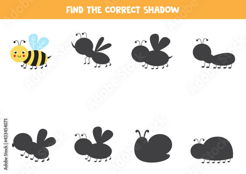 Find the right shadow of cute kawaii bee.