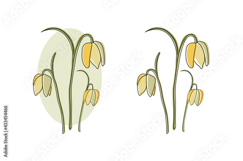 Bell Flowers Line Art Illustration