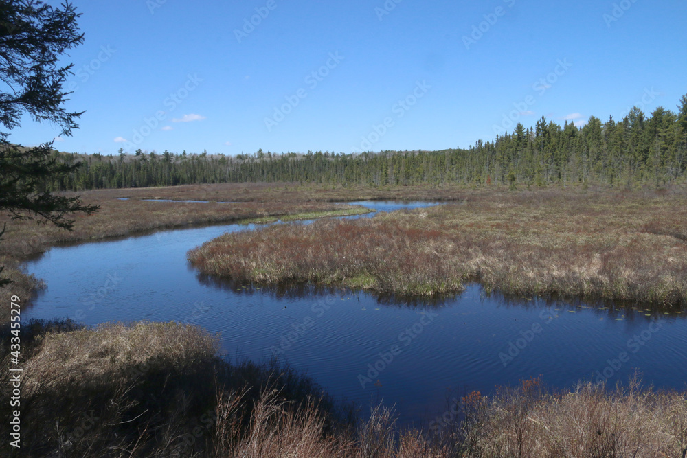 Algonquin Provincial park scenery in spring including rapids, beaver ponds and rocky trails