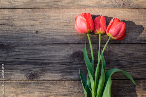 Fototapeta Naklejka Na Ścianę i Meble -  Red tulips on a wooden background