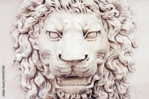 Sculpture of a medieval lion head of stone (Italy) - frontal view