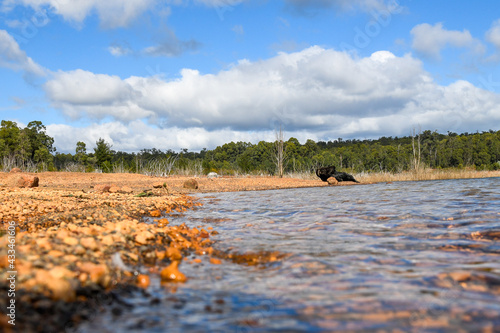 Logue Brook Dam, Lake Brockman photo