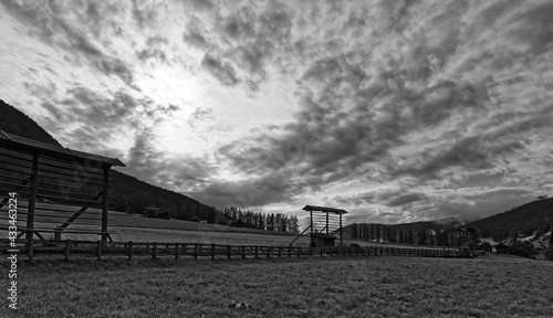 Alte Scheune mit einer Harpfe zum Trocknen von Gras und Getreide auf einer Bergwiese, schwarzweiß Foto, Pustertal, Alpen, Südtirol, Italien, Europa photo