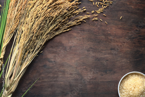Fotografía Unpolished jusmin rice in a white bowl and paddy rice on brown wooden background