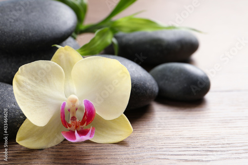 Spa stones  beautiful orchid flower and bamboo sprout on wooden table  closeup. Space for text