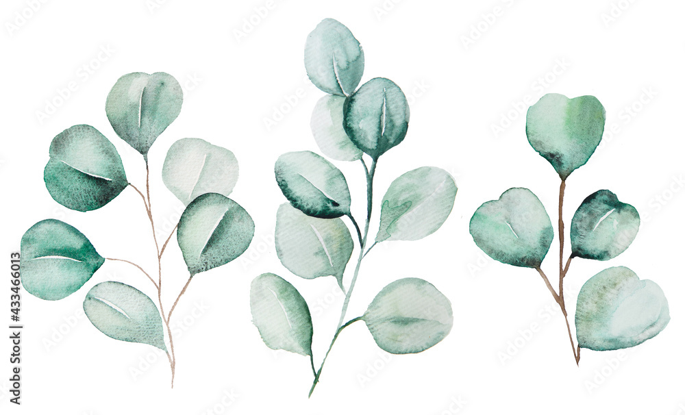 Watercolor eucaliptus leaves set illustration