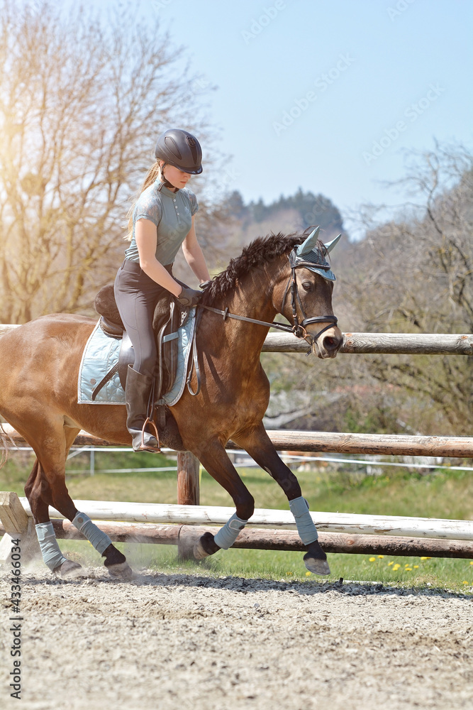 Reiten Reiten