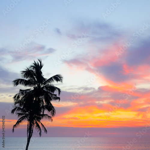 Silhouette of palm trees Beautiful sunset on the tropical sea beach.