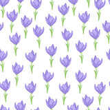 Seamless pattern with isolated blue crocus flowers little ornament. White background. Hand drawn floral backdrop.