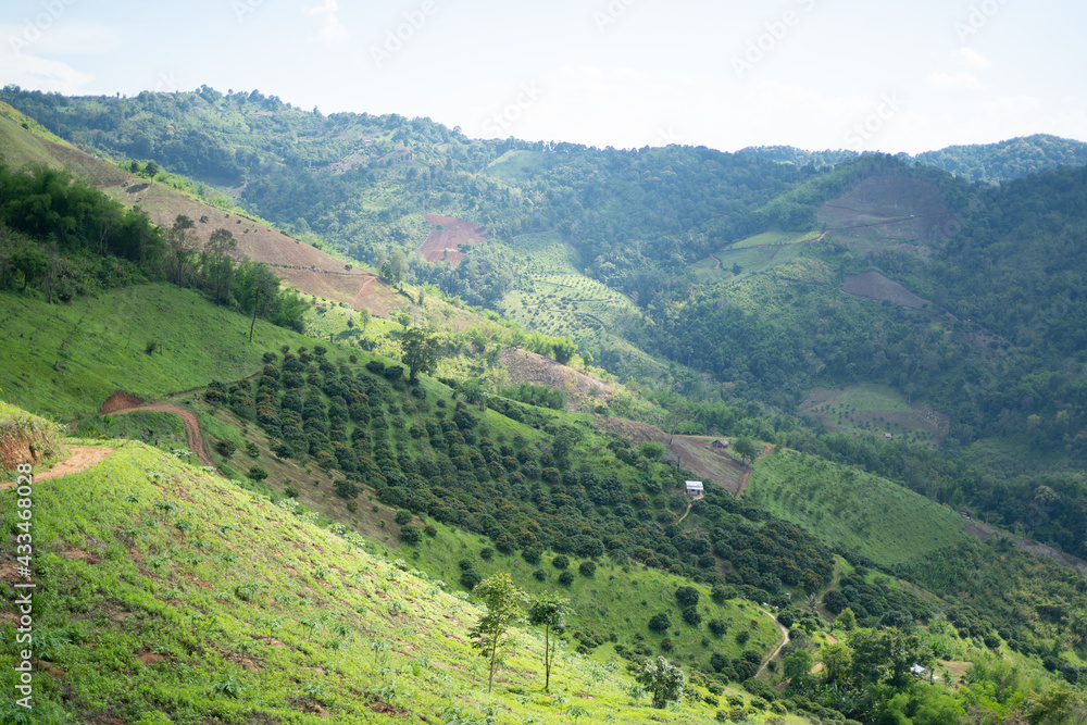 Scenery of deforested mountain area in tropical zone, plantations on the mountian in Thailand,