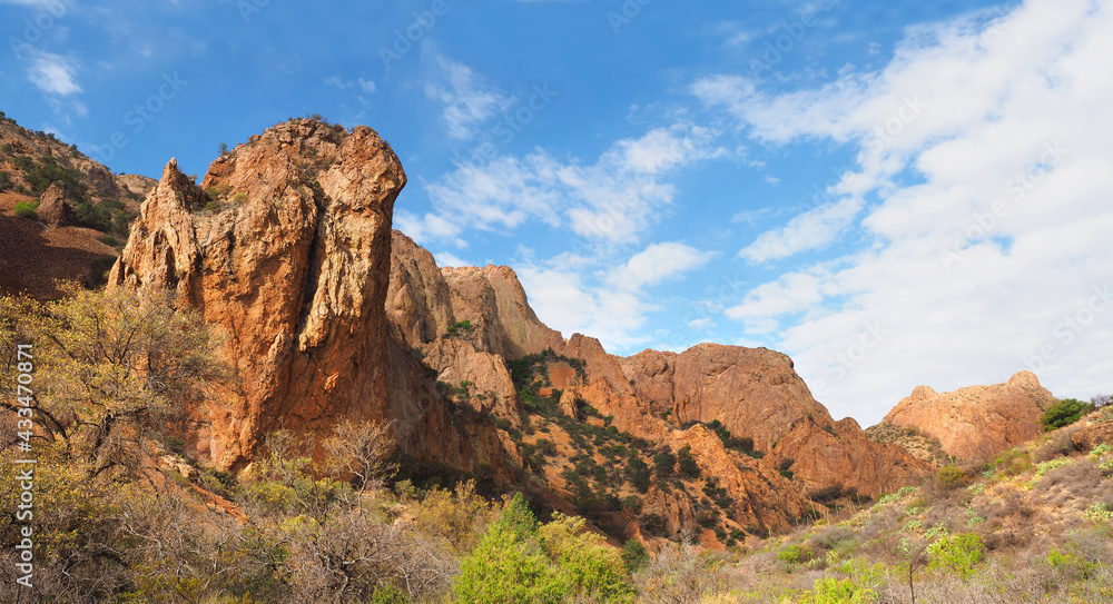 Panorama of the Highly Eroded Mountains of Big Bend National Park, Texas