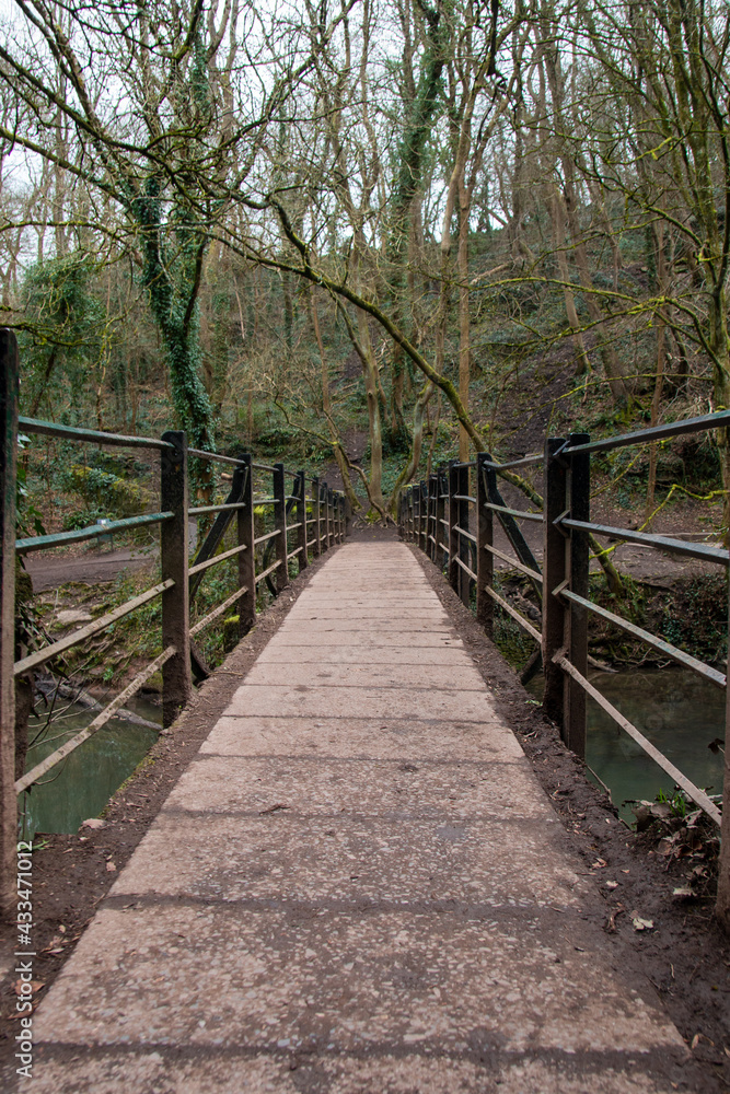 Narrow Bridge in The Woods, Bristol, UK