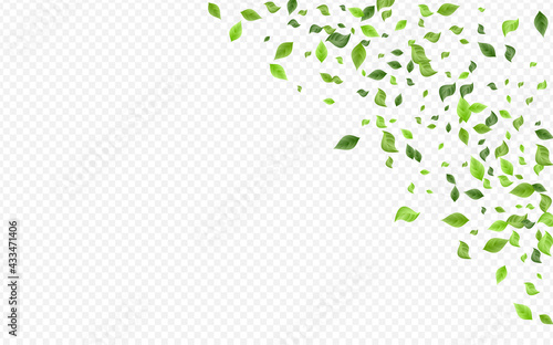 Mint Leaf Forest Vector Transparent Background