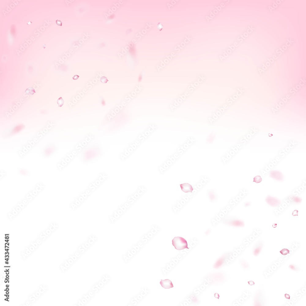 Cherry Sakura Blossom Confetti. Flying Japanese Cherry Rose Sakura