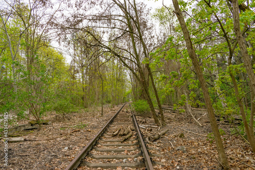 Ehemalige Bahngleise im Park am Gleisdreieck, heute Teil einer urbanen Grünanlage im Zentrum von Berlin.