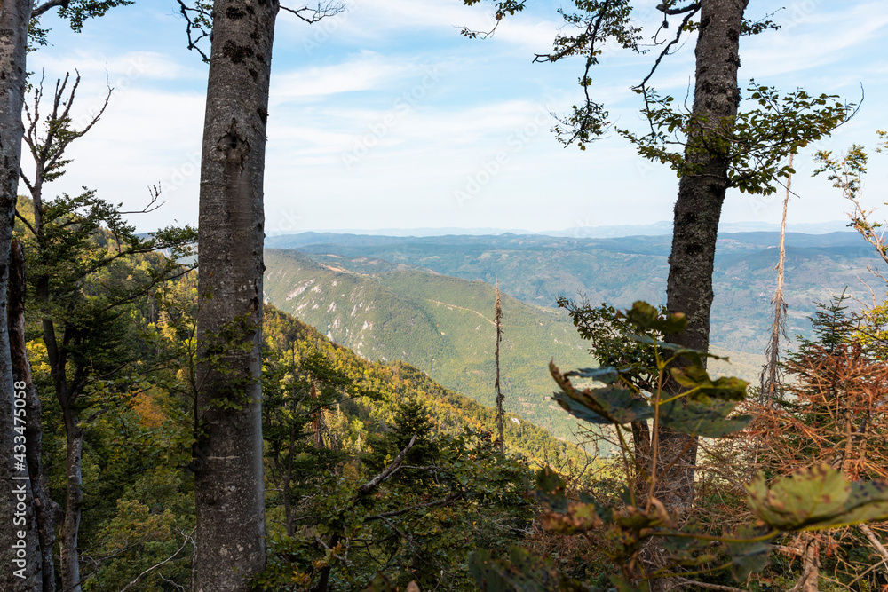 Fototapeta premium Tara mountain in western Serbia. Viewpoint Biljeska stena. Landscape view of the mountains