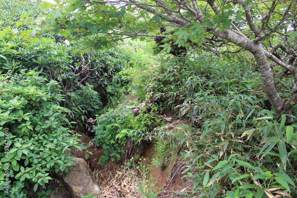 福島県の箕輪山から鬼面山への登山