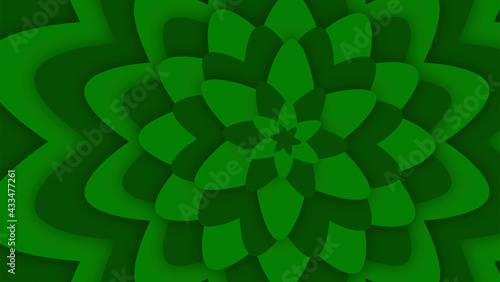 foglie, pianta, vegetali