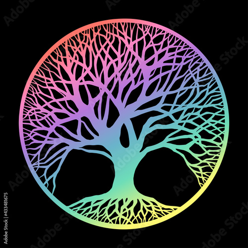 Photography Outline Tree Of Life