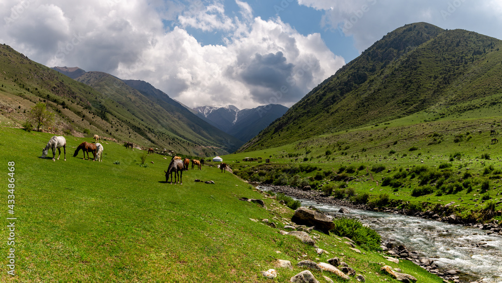 Beautiful views of the mountains with snowy peaks in Kyrgyzstan. Beautiful views of the mountains with snowy peaks in Kyrgyzstan.