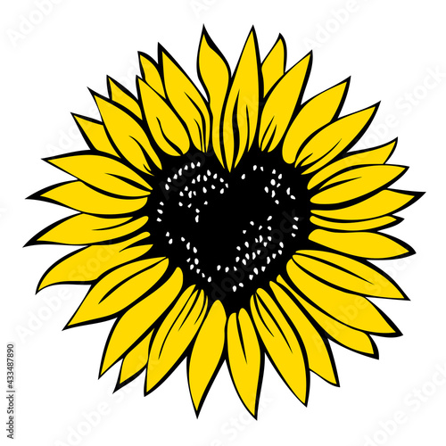 Heart shaped sunflower, vector illustration isolated on white background