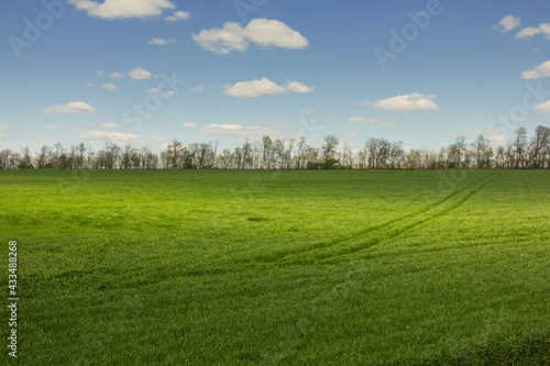 green rural field under a cloudy sky, spring countryside industrial scene © Yuriy Kulik