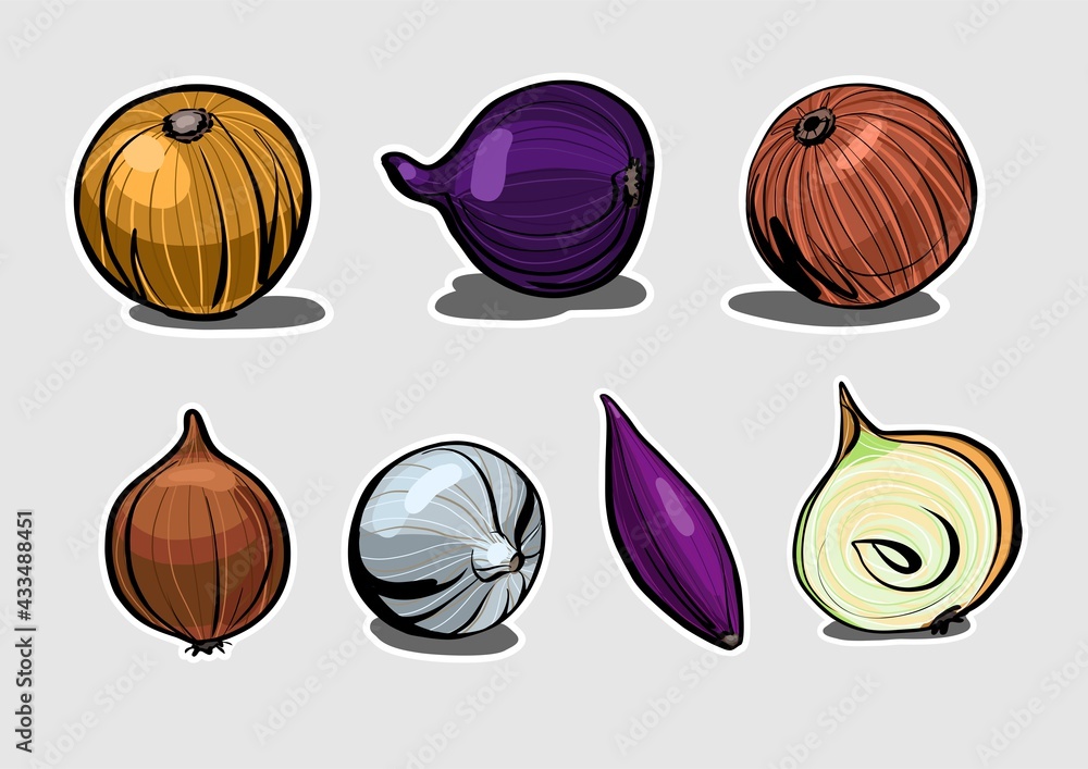 A set of fresh onions, various varieties. Illustration in the style of a color sketch with markers in the form of stickers.