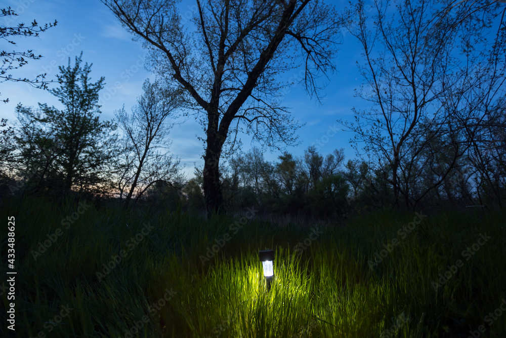 small lantern on green forest glade at the twilight, outdoor travel scene small lantern on green forest glade at the twilight, outdoor travel scene