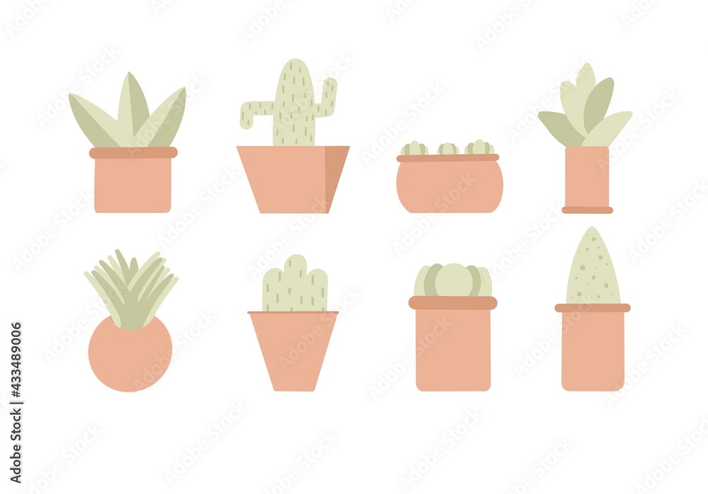 House Plants Shrubs Pastel Minimalist House Plants Shrubs Pastel Minimalist