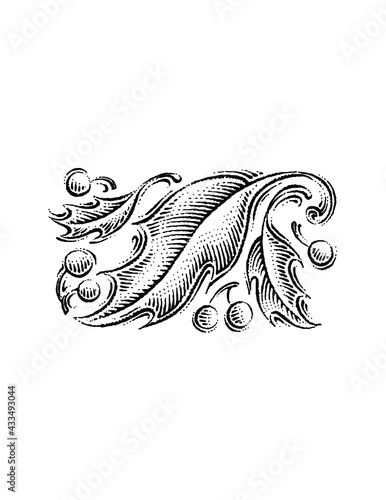 illustration of holly leaves