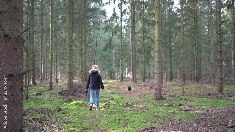 Frau geht mit Hund im Wald spazieren Frau geht mit Hund im Wald spazieren