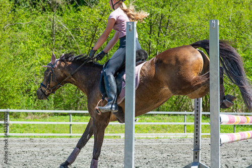 Reiten / Springen photo