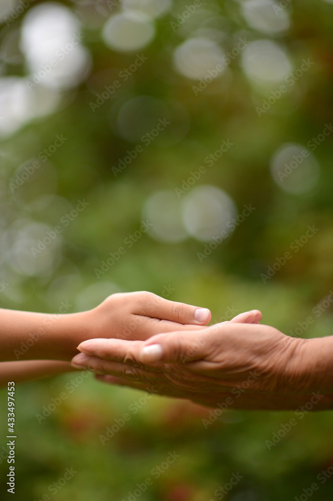 person holding granddaughter's hand
