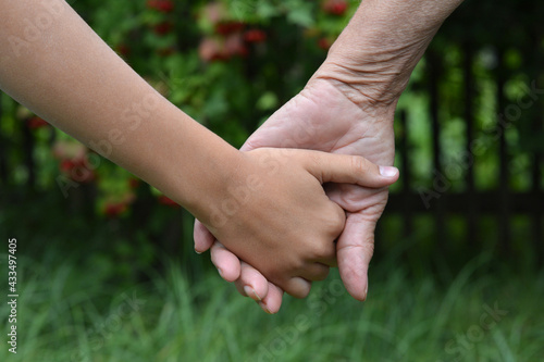 granddaughter and grandmother holding hands outdoors © aletia2011