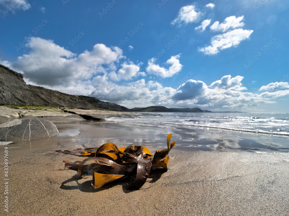 Obraz premium OLYMPUS DIGITAL CAMERA